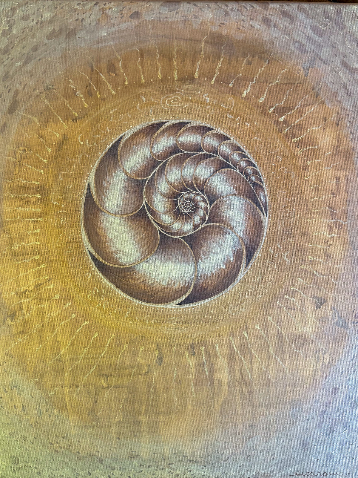 Ammonite Light - Original