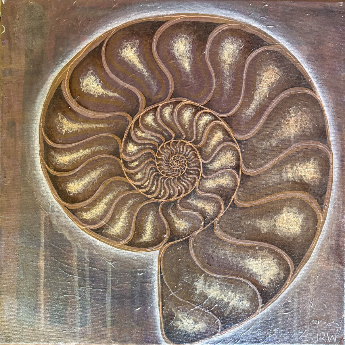Ammonite - Original